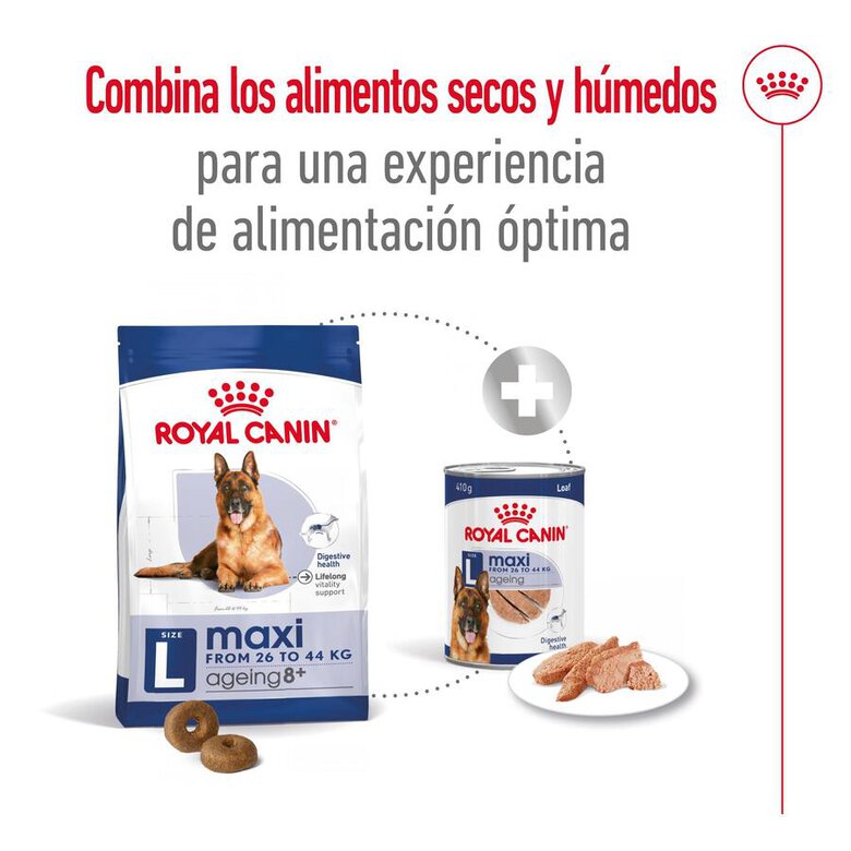 Royal Canin Maxi Ageing 8+ pienso para perros, , large image number null